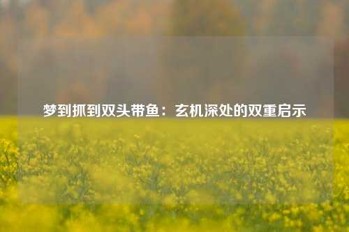 梦到抓到双头带鱼:玄机深处的双重启示