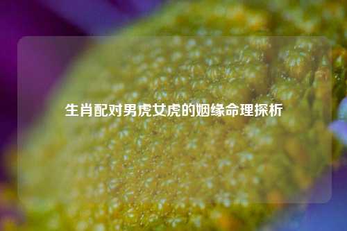 生肖配对男虎女虎的姻缘命理探析