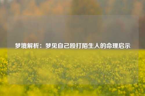 梦境解析:梦见自己殴打陌生人的命理启示