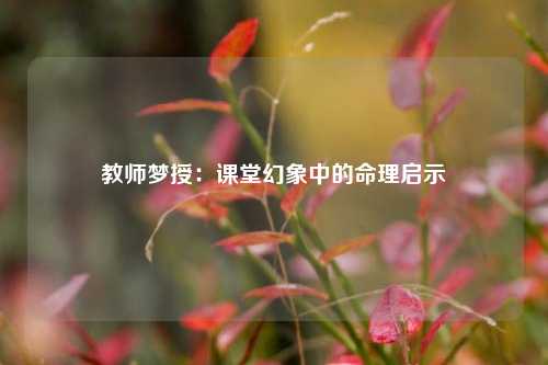 教师梦授：课堂幻象中的命理启示