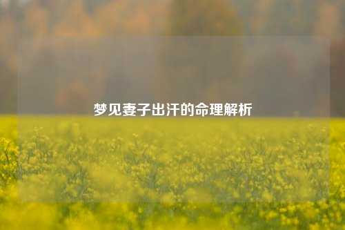 梦见妻子出汗的命理解析