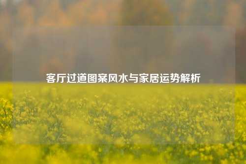 客厅过道图案风水与家居运势解析