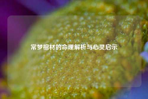 常梦棺材的命理解析与心灵启示