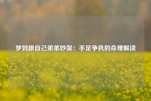 梦到跟自己弟弟吵架：手足争执的命理解读